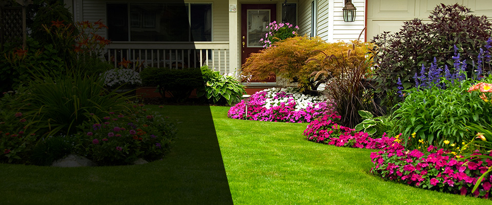 Fort Washington Landscapers
